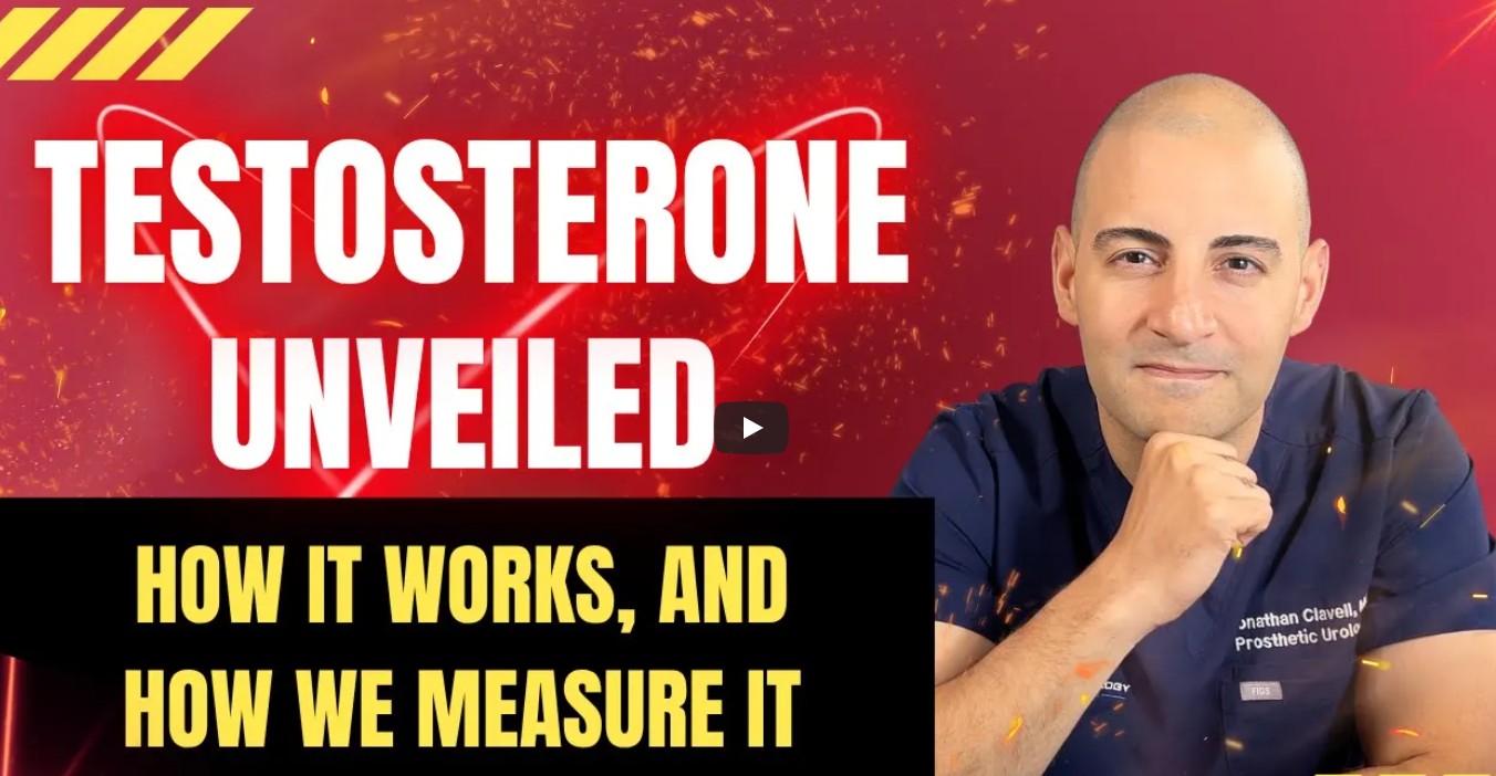 Testosterone Physiology Explained: From Brain Signals to Blood Tests